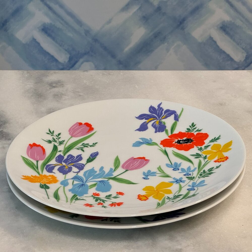 Pair of 10 1/4" dinner plates - Heinrich Germany Primavera